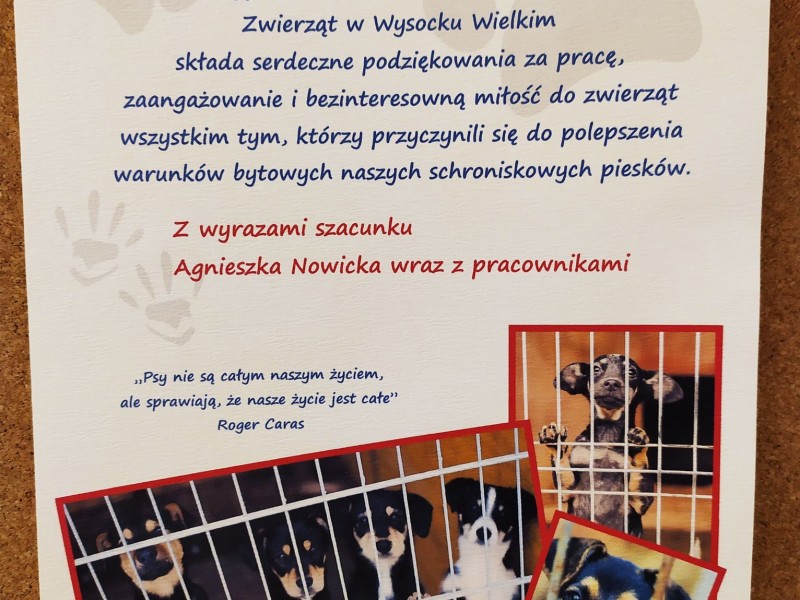 Jakiś obrazek